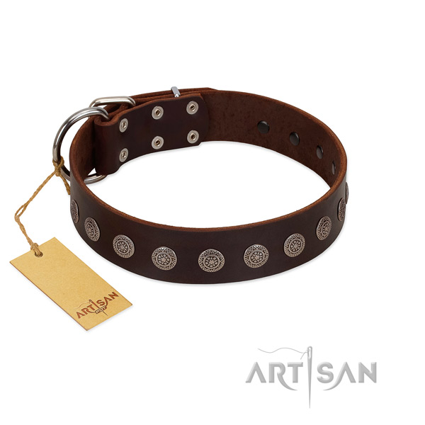 Top notch adorned full grain leather dog collar