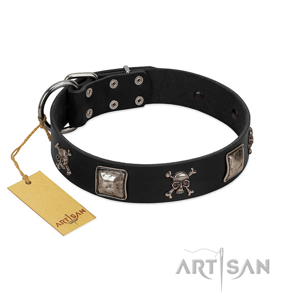 Top notch studded full grain natural leather dog collar