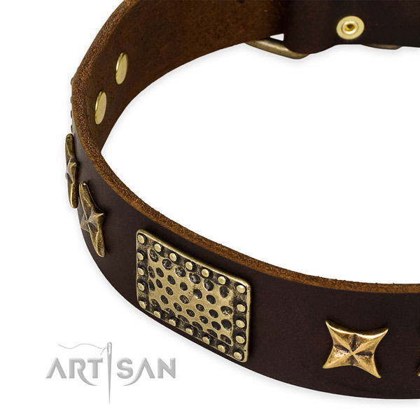 Genuine leather collar with rust resistant fittings for your lovely dog