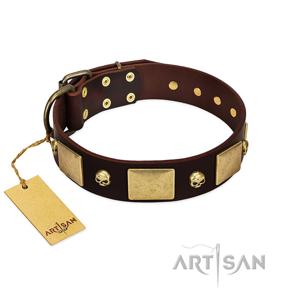 Reliable genuine leather dog collar with rust resistant embellishments