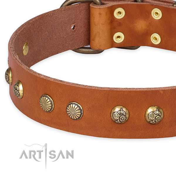 Genuine leather collar with rust resistant buckle for your handsome doggie