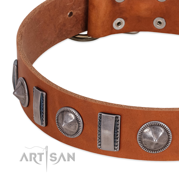 Inimitable adorned full grain natural leather dog collar for everyday walking
