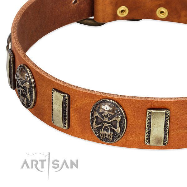 Rust-proof buckle on genuine leather dog collar for your canine