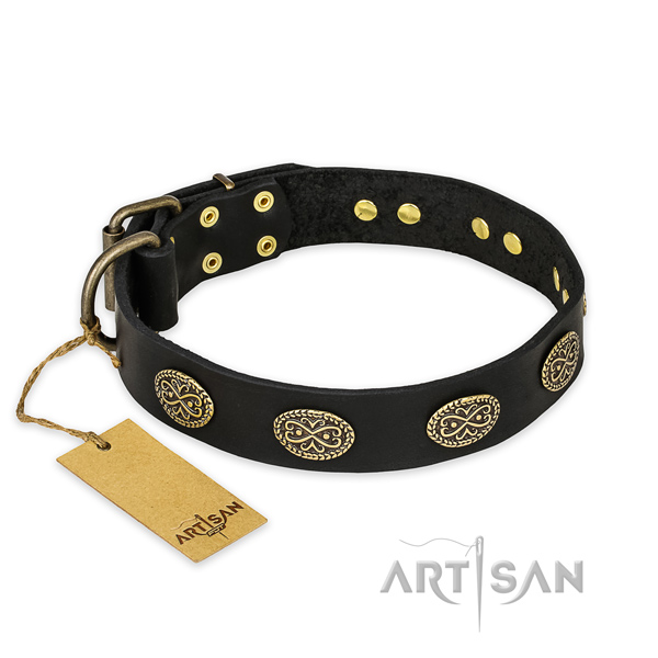 Remarkable leather dog collar with strong fittings