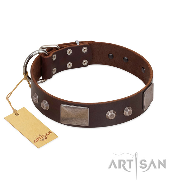 Trendy full grain leather dog collar with corrosion resistant D-ring