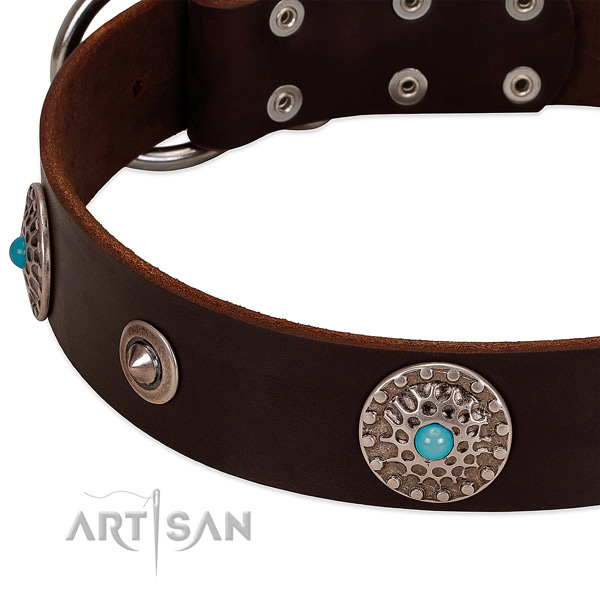 Impressive collar of natural leather for your beautiful four-legged friend