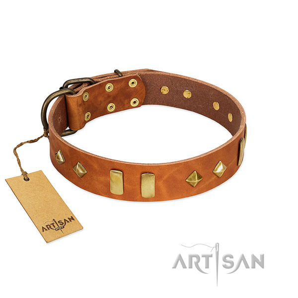 Walking top notch natural leather dog collar with studs