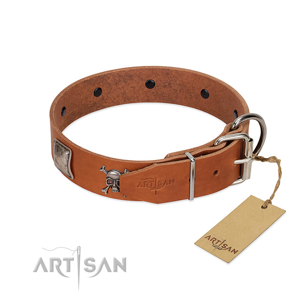 Embellished full grain genuine leather collar for your stylish dog