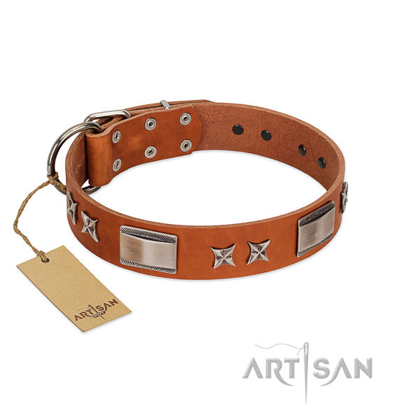 Top notch full grain natural leather dog collar with durable fittings