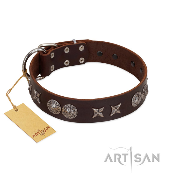 Top notch genuine leather dog collar for your impressive four-legged friend
