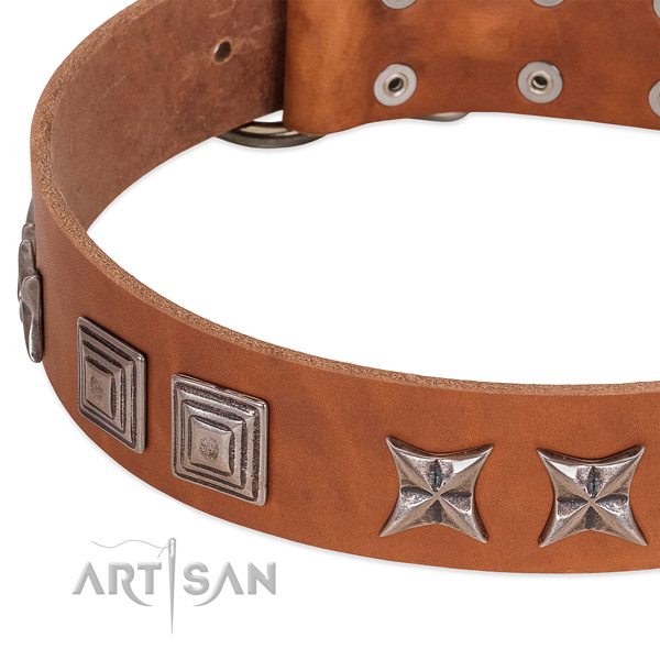 Flexible full grain natural leather dog collar with durable D-ring