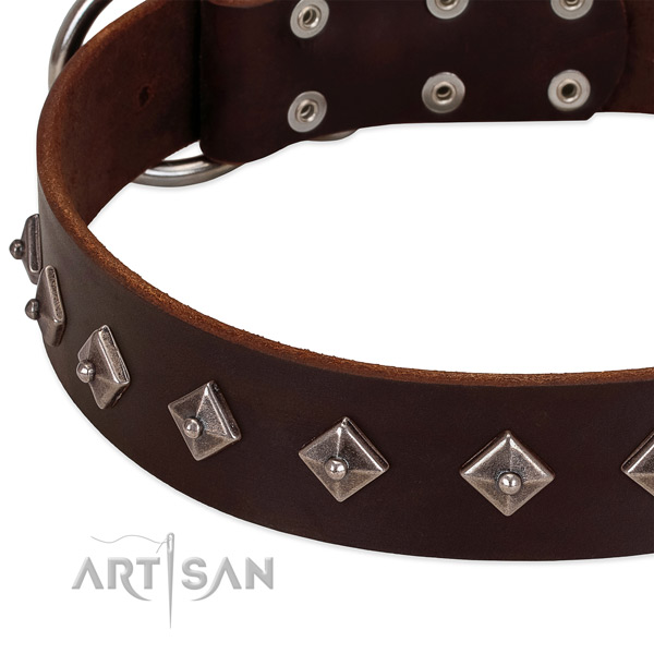 Perfect fit collar of genuine leather for your pet