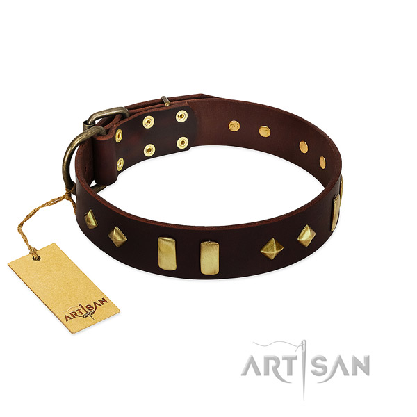 Full grain natural leather dog collar with corrosion resistant D-ring for everyday walking