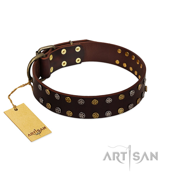 Stylish walking reliable full grain natural leather dog collar with embellishments