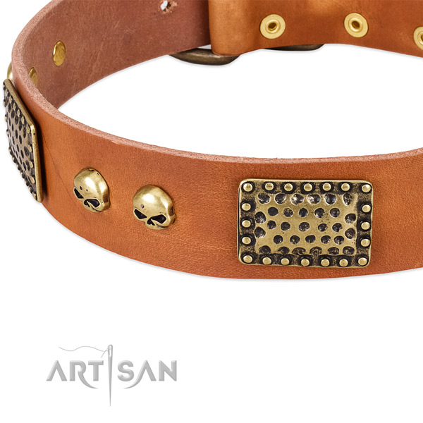 Rust resistant D-ring on leather dog collar for your canine