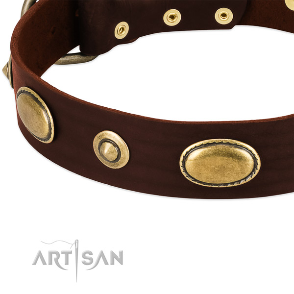 Rust resistant decorations on full grain natural leather dog collar for your doggie