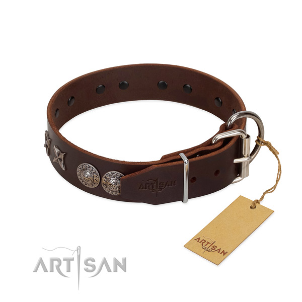 Handy use dog collar of leather with incredible decorations