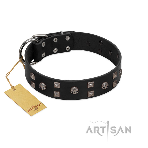 Walking dog collar of natural leather with stylish embellishments