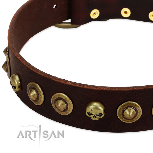 Fashionable decorations on genuine leather collar for your four-legged friend