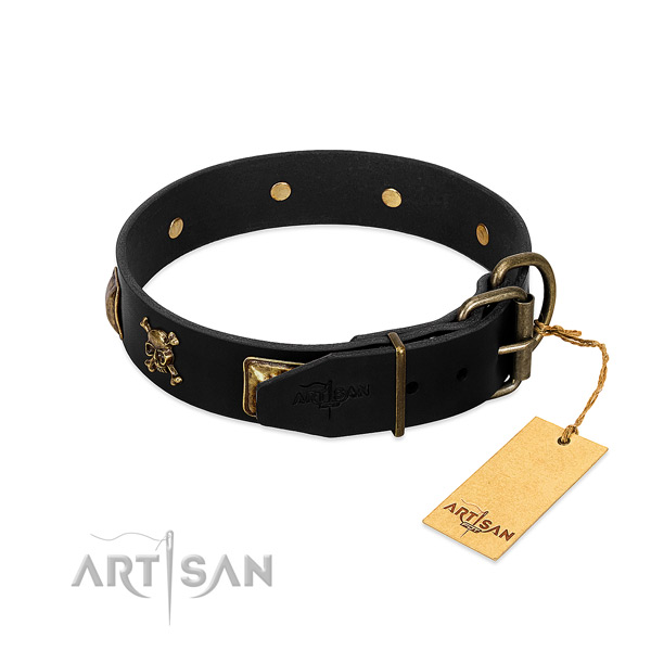 Top rate leather dog collar with exceptional adornments