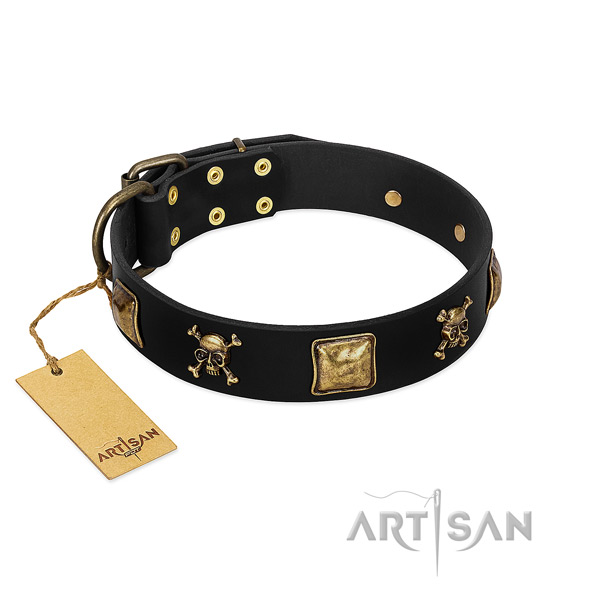 Reliable genuine leather dog collar with extraordinary decorations