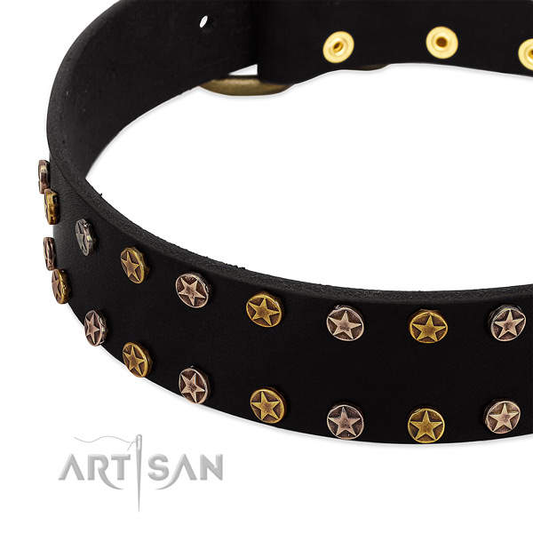 Exquisite adornments on full grain natural leather collar for your canine