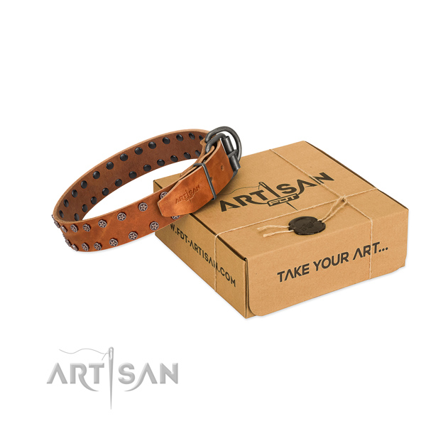 Best quality leather dog collar with studs for your handsome four-legged friend
