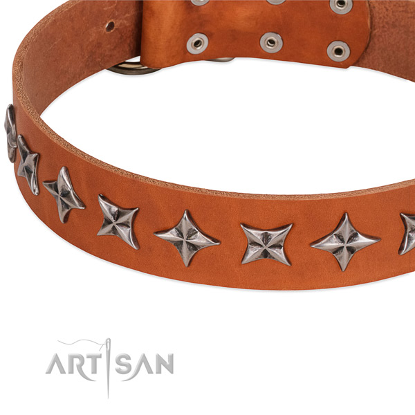 Everyday walking adorned dog collar of fine quality leather