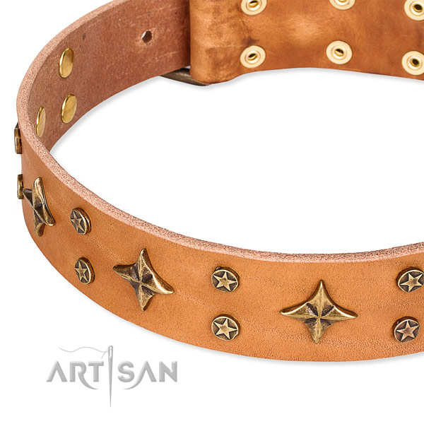 Basic training adorned dog collar of finest quality full grain natural leather
