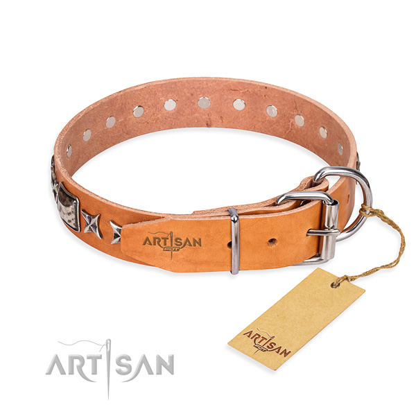 Fine quality embellished dog collar of full grain genuine leather