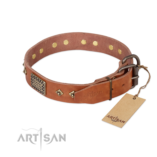 Full grain leather dog collar with reliable fittings and adornments