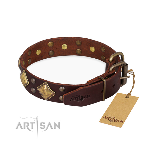 Genuine leather dog collar with inimitable strong studs