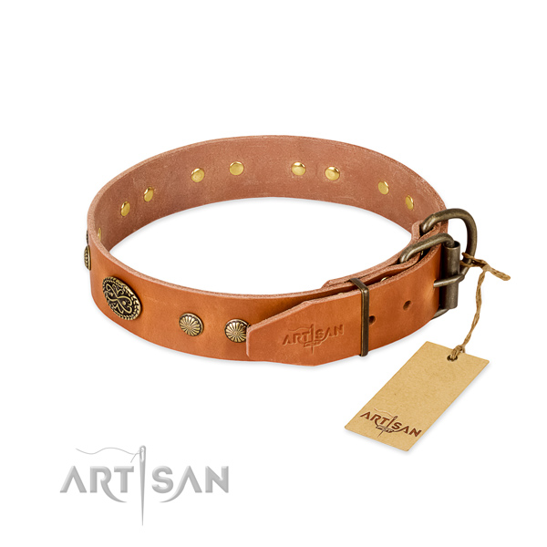 Reliable adornments on full grain leather dog collar for your doggie
