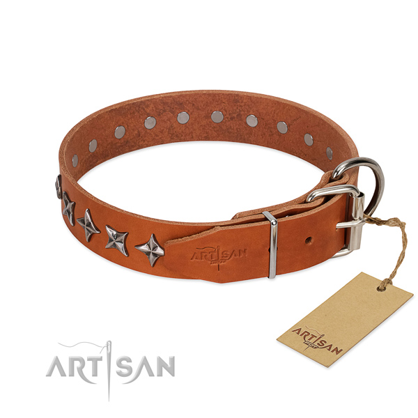 Walking studded dog collar of reliable leather