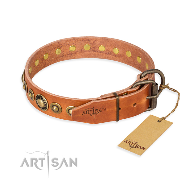 Top notch full grain leather dog collar created for daily walking