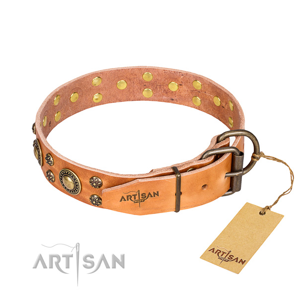 Daily walking embellished dog collar of top notch natural leather