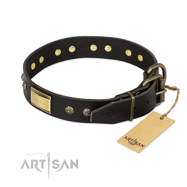 Leather dog collar with rust resistant buckle and studs