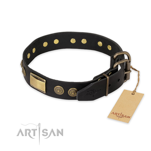 Strong traditional buckle on leather collar for fancy walking your canine