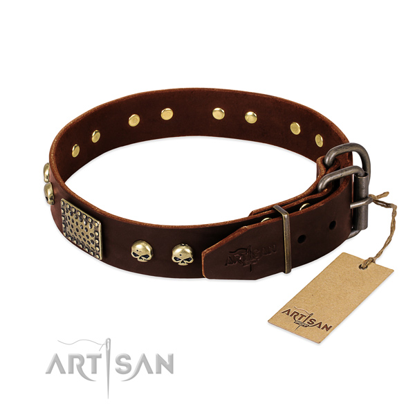 Reliable traditional buckle on comfy wearing dog collar