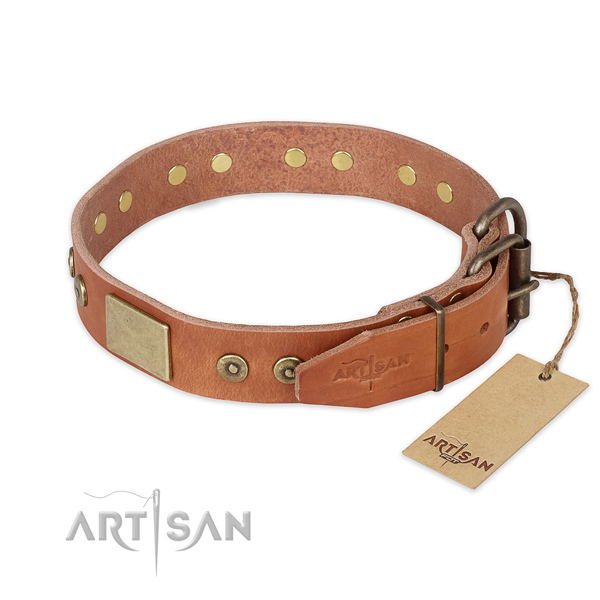 Corrosion proof hardware on leather collar for fancy walking your doggie
