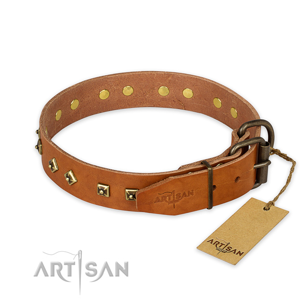 Reliable buckle on full grain genuine leather collar for daily walking your canine