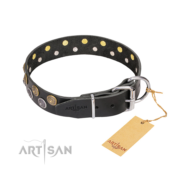 Everyday use adorned dog collar of durable natural leather