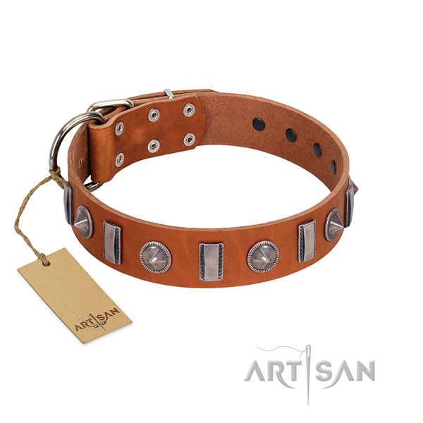 Quality full grain genuine leather dog collar with studs for your four-legged friend