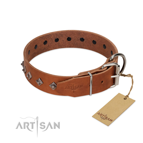 Full grain leather dog collar with unique adornments for your pet