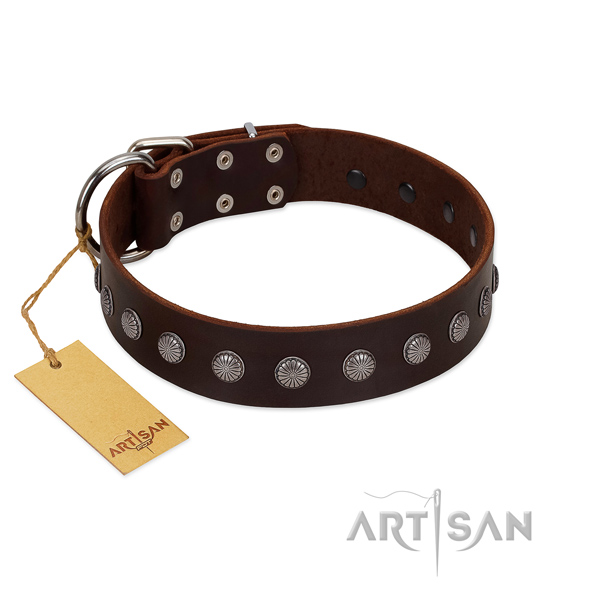 Trendy embellishments on natural leather collar for comfy wearing your doggie