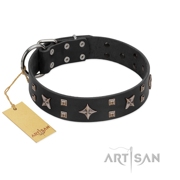 Significant natural leather dog collar with strong decorations