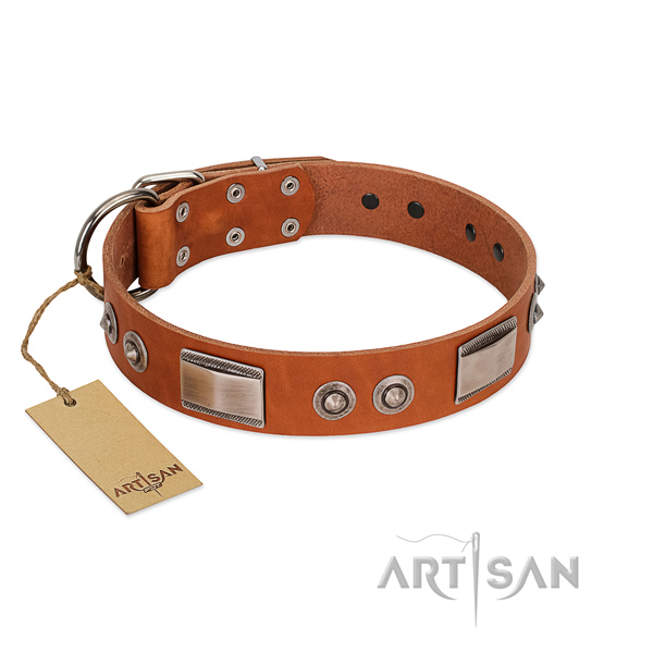 Top quality leather collar with studs for your pet