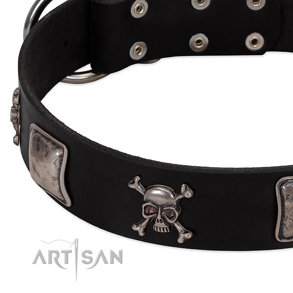 Rust resistant D-ring on leather dog collar