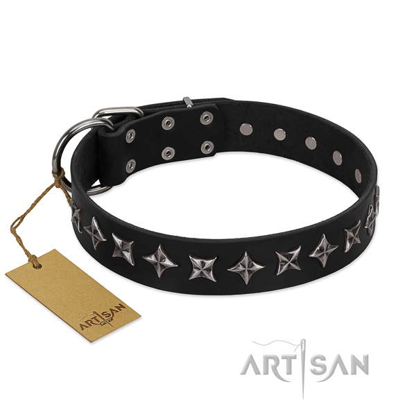 Comfortable wearing dog collar of quality genuine leather with embellishments