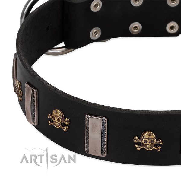 Full grain natural leather dog collar of flexible material with trendy decorations